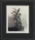 70