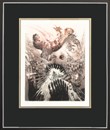 71